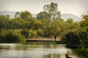 Fisherman on the Shore