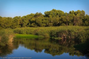 San Diego River at Mast Park