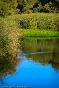 San Diego River at Mast Park