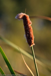 Mast Park_090918_32