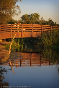 Reflected Bridge