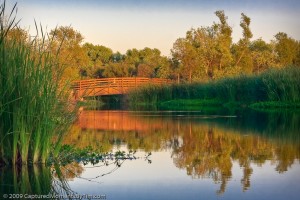 Reflected Bridge